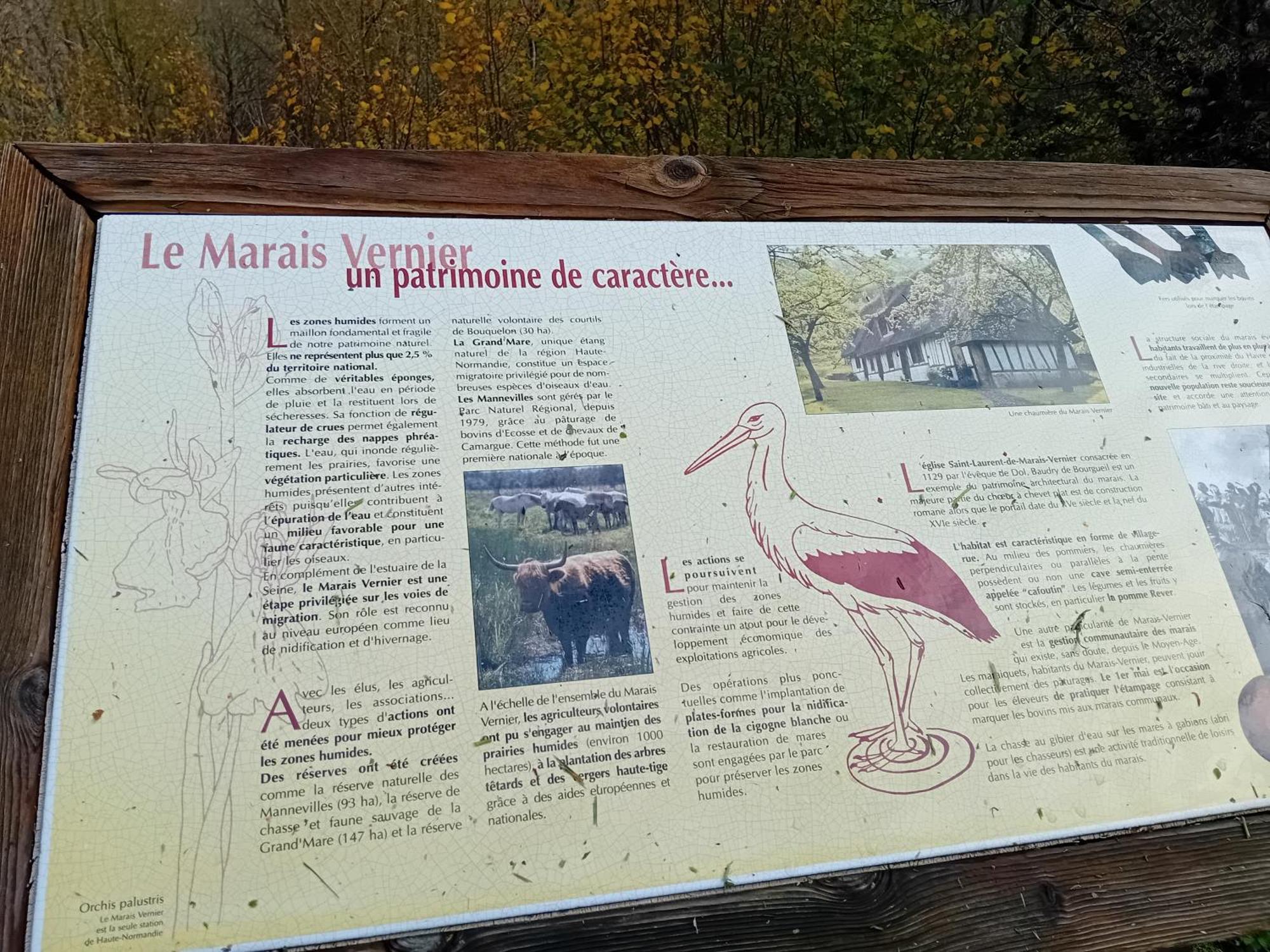 Gite Du Roy Marais-Vernier Esterno foto